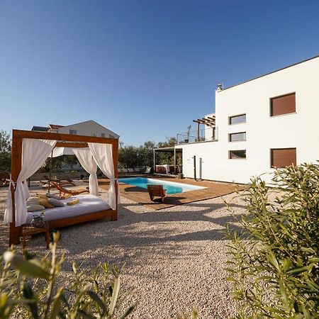 Villa Suncica With Heated Pool, Jacuzzi And Bikes Near Zadar Sukošan Eksteriør bilde