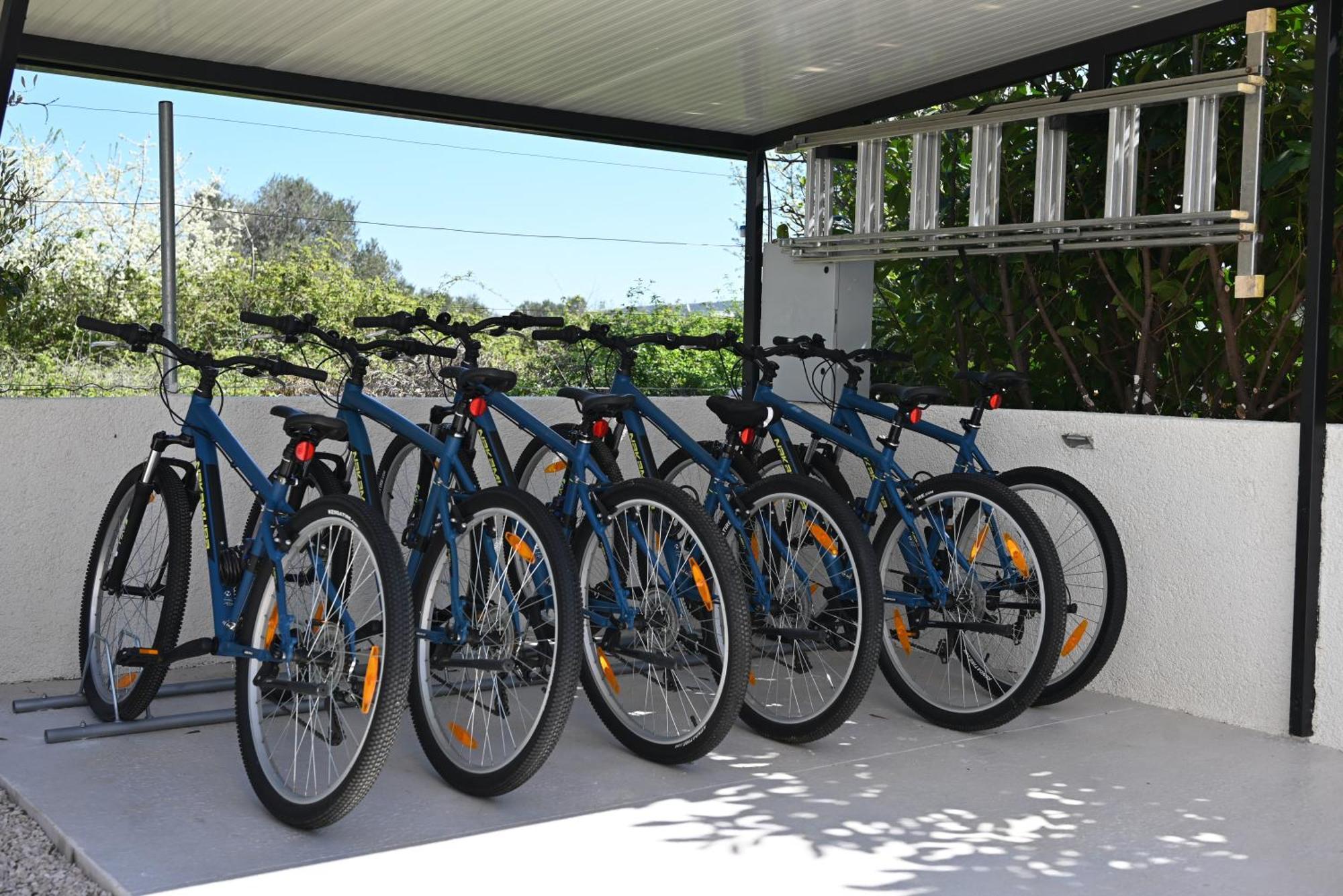 Villa Suncica With Heated Pool, Jacuzzi And Bikes Near Zadar Sukošan Eksteriør bilde